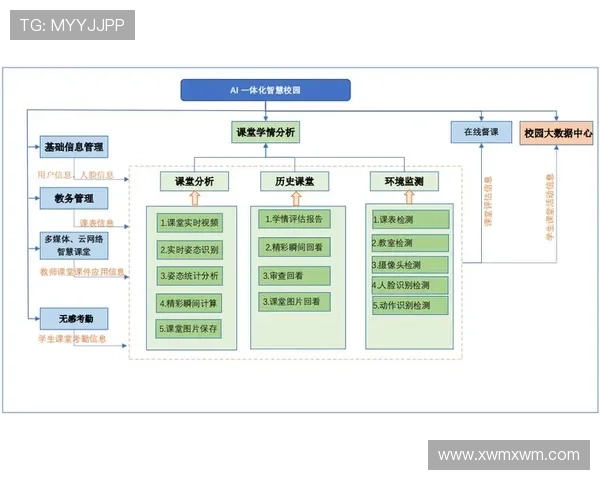 深圳排球队近期状态分析与表现评估探讨