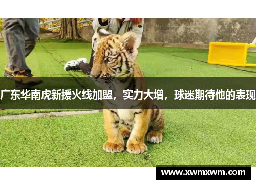 广东华南虎新援火线加盟，实力大增，球迷期待他的表现